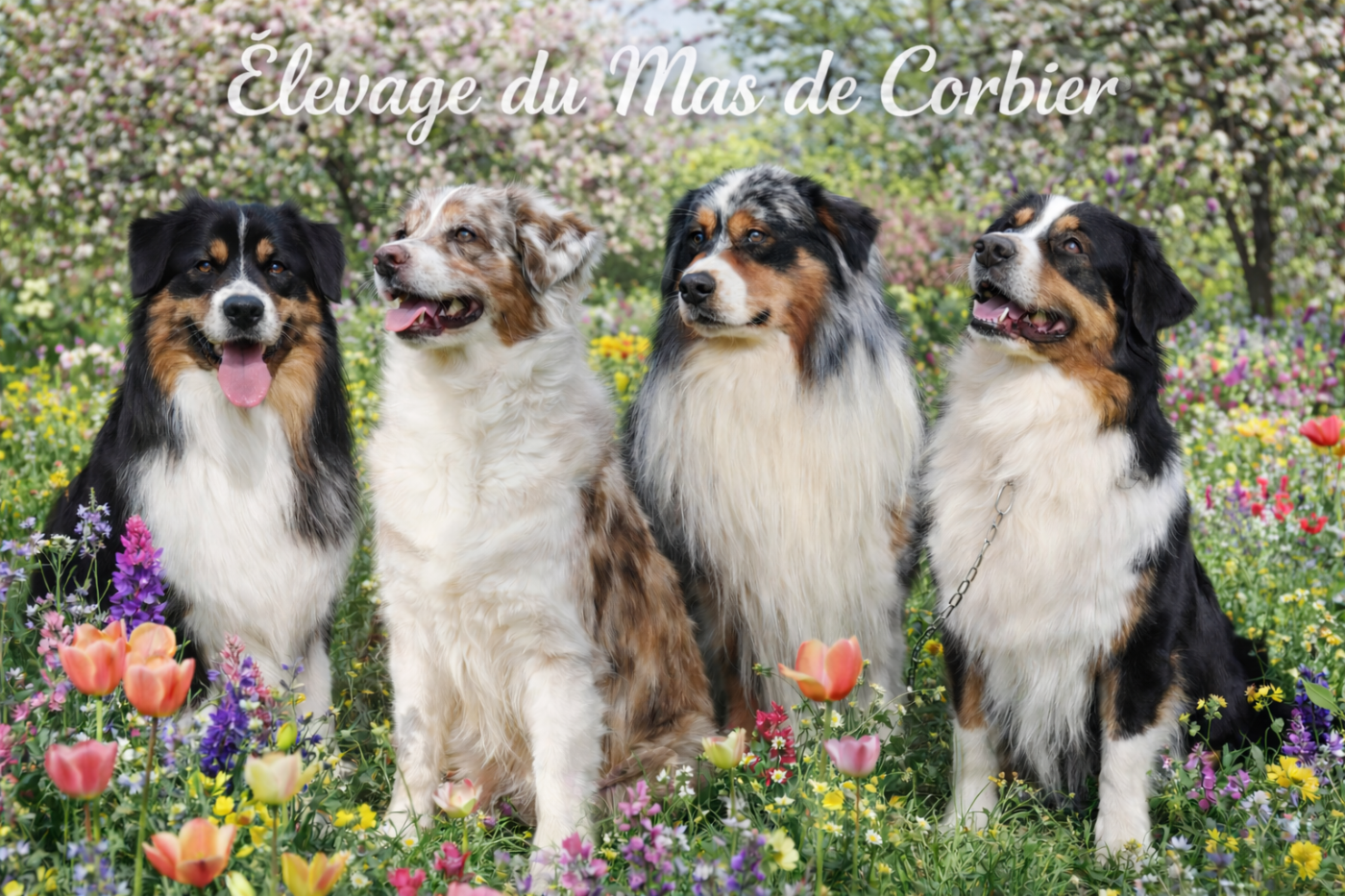 Futures Portées 2026